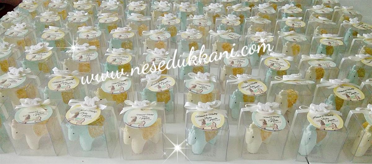 mehmet&mustafa 1 yaş