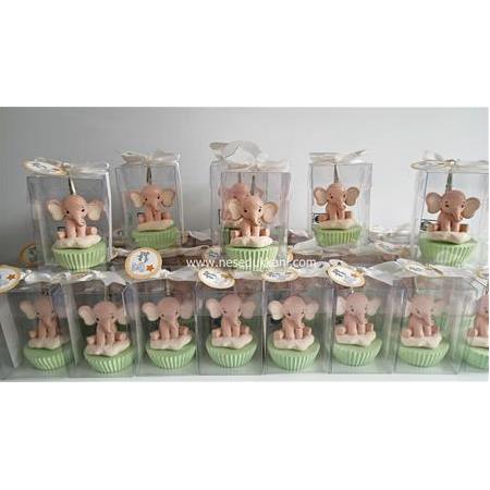 FİL NOTLUK KOKULUTAŞ