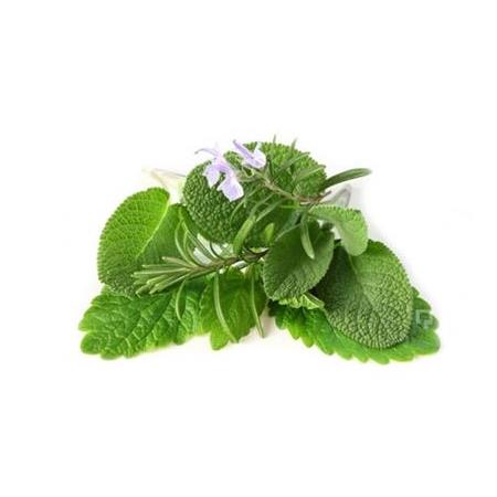 MELİSA ESANSI 20 ml