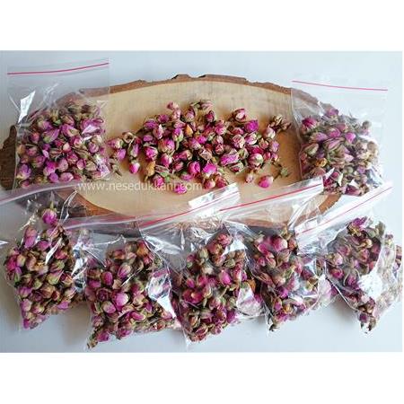 KURUTULMUŞ TOMURCUK PEMBE GÜL