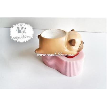 KÖPEK SUKULENT SAKSI SİLİKON KALIP