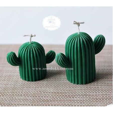 2 BOY KAKTÜS MUM KALIBI